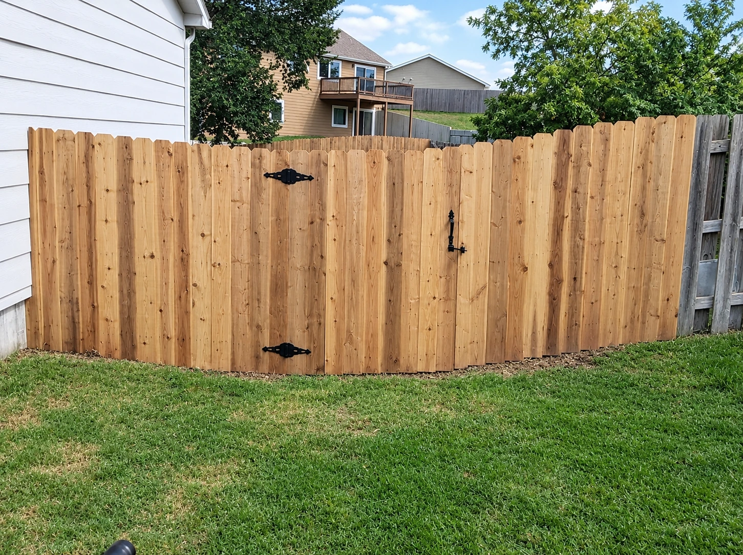 Cedar fence with a double gate on black strap hinges
